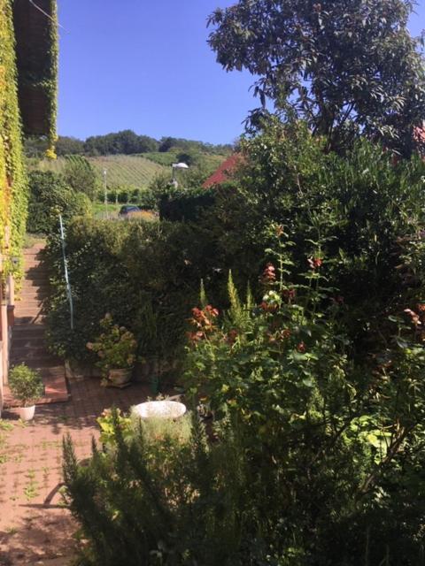 Gartenwohnung Gundelfingen  Exterior photo